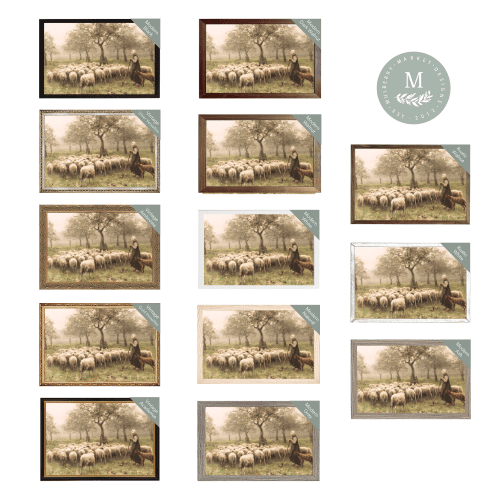 42 field of sheep