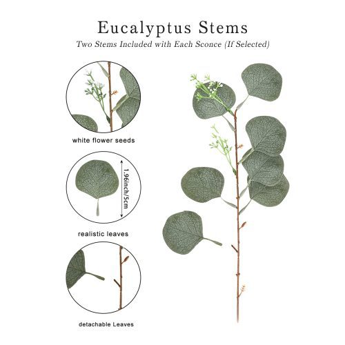 EucalyptusStems