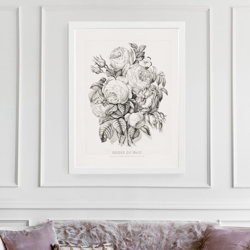 Floral Illustration Wall Art