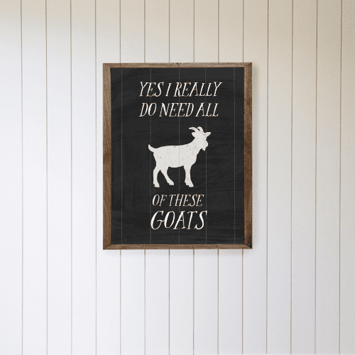 Goats 01