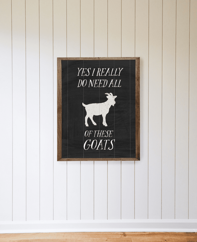 Goats 01