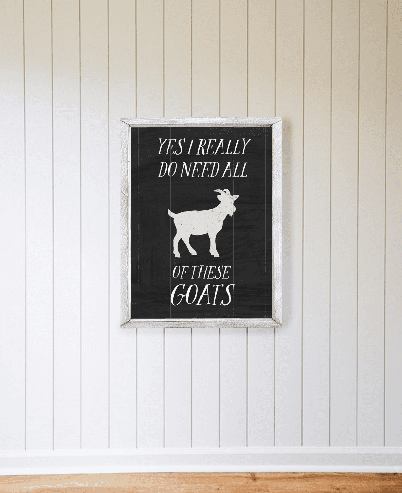 Goats 02