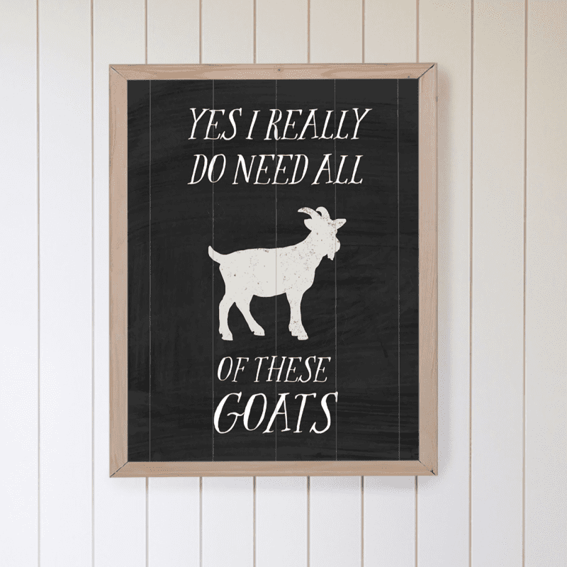 Goats 04