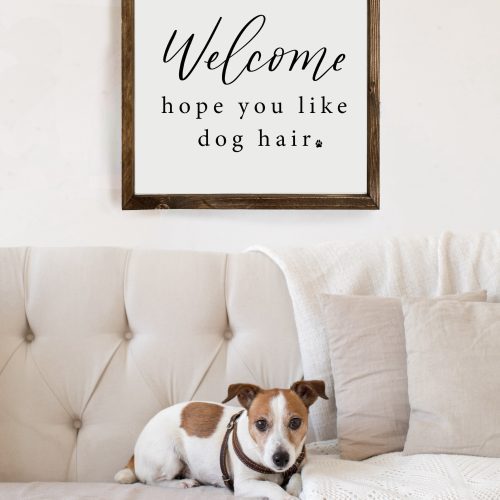 hopeyoulikedoghairsign