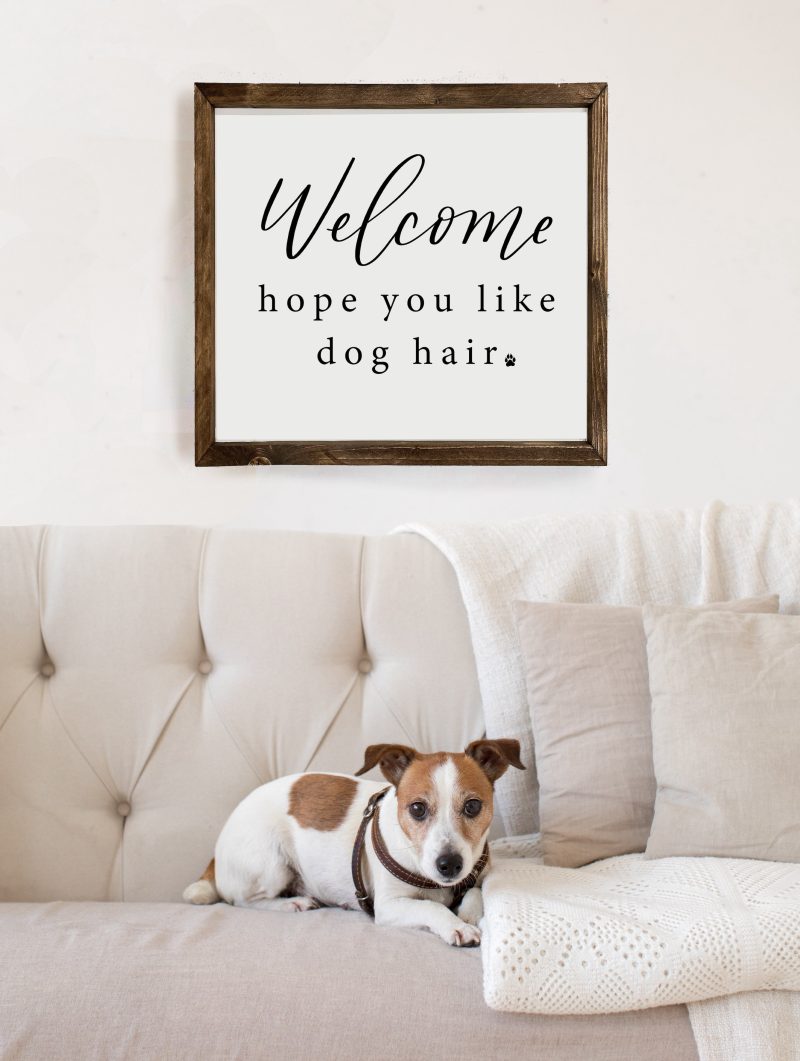 hopeyoulikedoghairsign